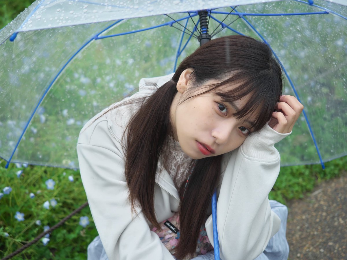 おはようございます🕊️
