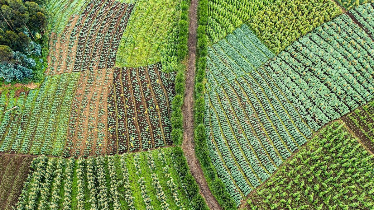 Achim Steiner tweet media