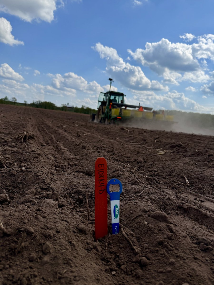 Silage plot is in and there’s a new kid in town! 🆕 E108K4-DV 🆕

108 RM #Enogen hybrid that’s fully stacked with Corn Root Worm and Western Bean Cutworm traits! Talk about high quality #silage !!

#Duracade #Viptera #PlankNK25