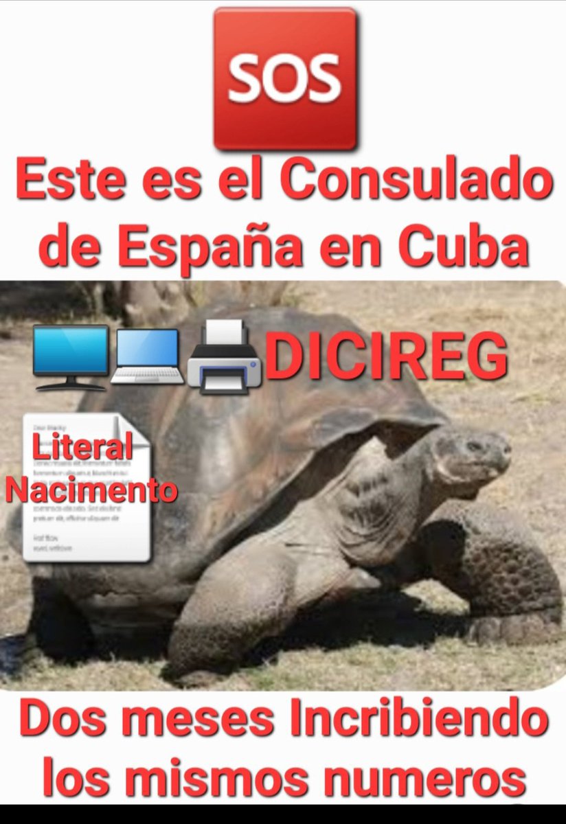 <a href="/FrankLp16625677/">Frank López</a> <a href="/ConsEspLaHabana/">ConsEspLaHabana</a> 🆘🆘🆘🆘 Dos meses Paralizados, Tomando unas Buenas Vacaciones . 🗣️🗣️🗣️🗣️es hora ya de volver al trabajo. <a href="/ConsEspLaHabana/">ConsEspLaHabana</a> .