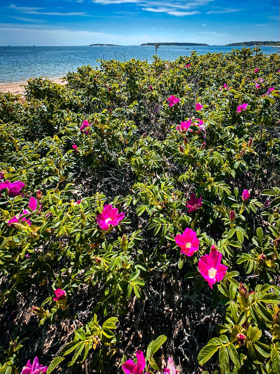 Darius Aniunas (@dariusaniunas) on Twitter photo 