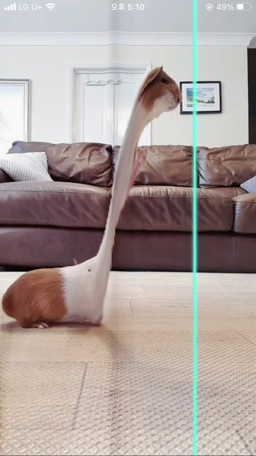 공룡들아기다려

곧따라갈께