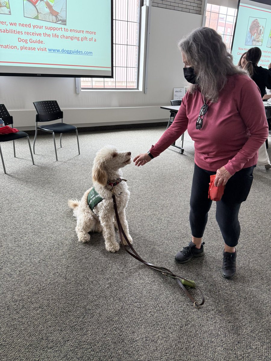ejc2402's tweet photo. Thank you to @alectranews for hosting Lions Foundation of Canada Dog Guides Lunch and Learn.     And for their very generous donation to the the Dundas Walk for Dog Guides. https://t.co/S4m0MTgZr0