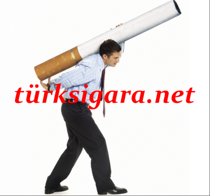 fatih1283 (@fatimcqueen96) on Twitter photo 