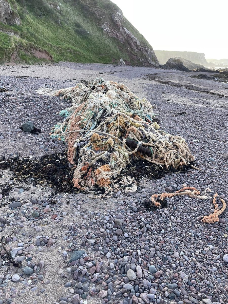 Sutton On Sea Beachcare tweet media