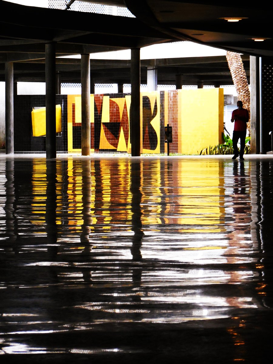 Fotografía de Pedro Antonuccio Sanó. <a href="/AntonuccioSanoP/">Pedro Antonuccio Sanó</a> Universidad Central de Venezuela. Caracas, 2020. #ucv #universidadcentraldevenezuela #arquitectura #paisajismo #venezuela #caracas #fotoantonuccio