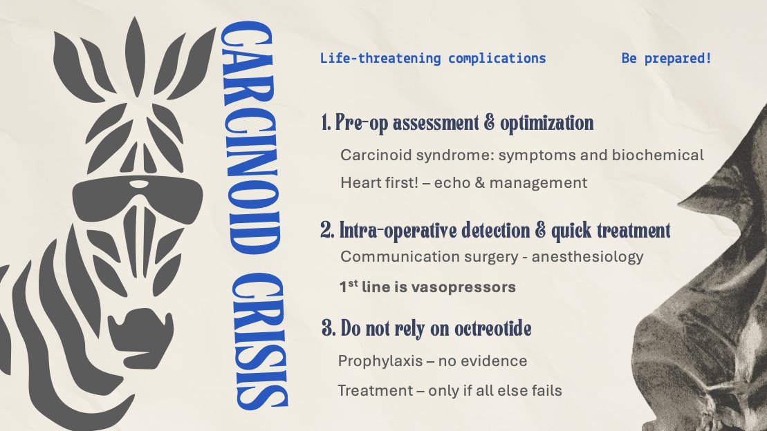 Julie Hallet (@halletjulie) on Twitter photo Perioperative management essentials for carcinoid syndrome
🎞️👀 sneak peek of 🗺️international expert consensus recommendations at <a href="/ESSOnews/">European Society of Surgical Oncology (ESSO)</a> #NETs webinar today
🔹Assess for 🖤disease
🔹Identify & treat crisis fast
🔹Don't rely on octreotide!
Thanks for the invite! Perioperative management essentials for carcinoid syndrome
🎞️👀 sneak peek of 🗺️international expert consensus recommendations at <a href="/ESSOnews/">European Society of Surgical Oncology (ESSO)</a> #NETs webinar today
🔹Assess for 🖤disease
🔹Identify & treat crisis fast
🔹Don't rely on octreotide!
Thanks for the invite!