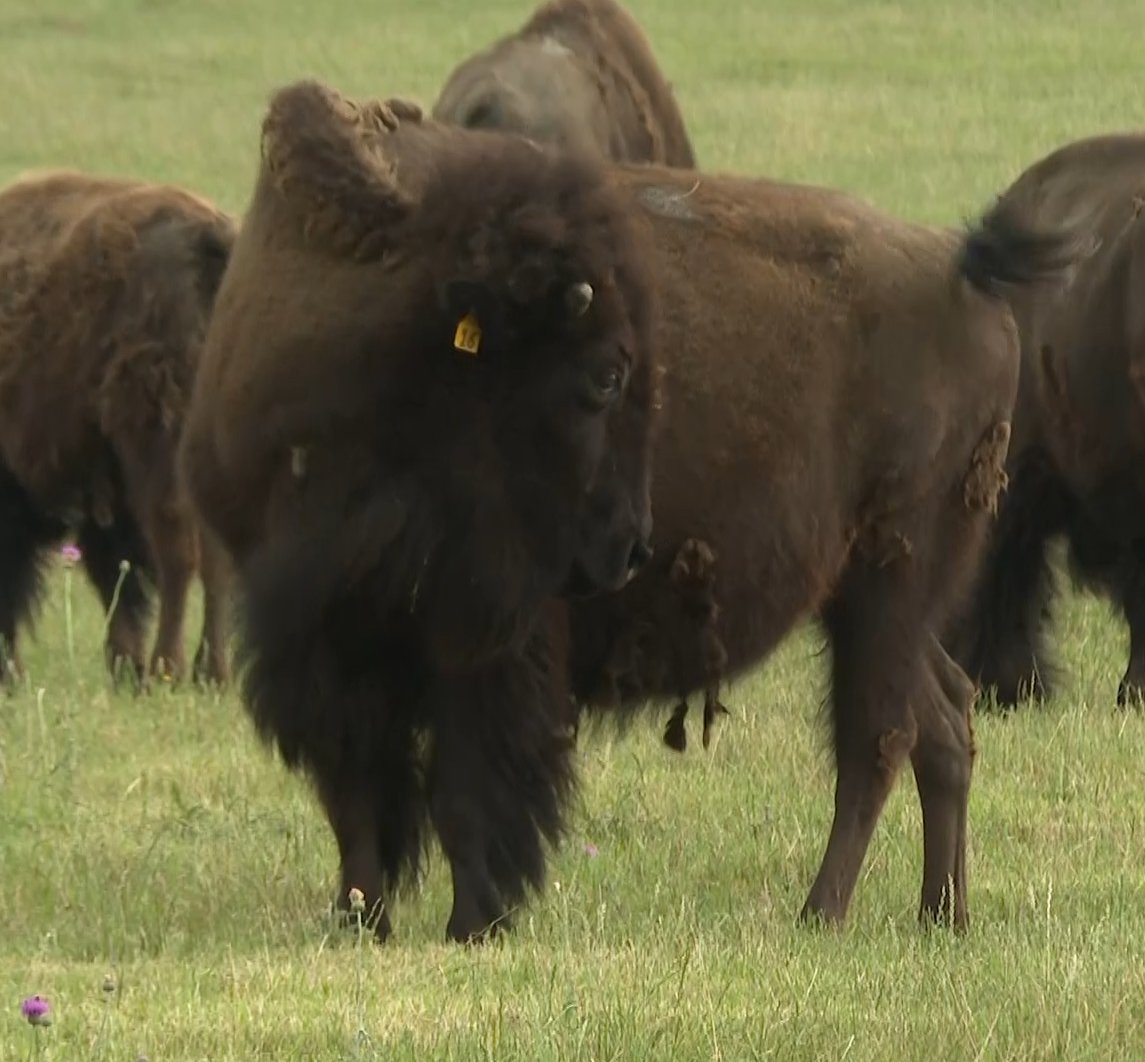 KBTX News tweet media