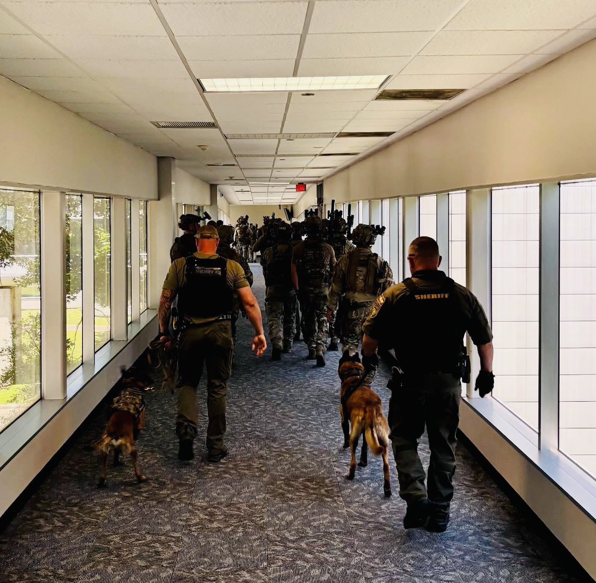 HCSOSWAT's tweet image. This week, our team is focusing on collaboration with tactical bomb technicians, tactical K9 teams, and our friends at @TxDPS. 🇺🇸