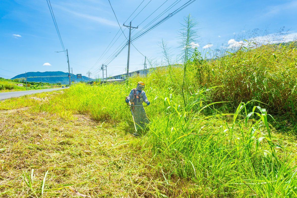 La vía delegada #Portoviejo - #Montecristi contó hoy con 11 puntos de intervención. Las labores se centraron en:
 
✅ Marca vial de reducción de velocidad - señalización horizontal 
✅ Recolección de desechos 
✅ Barrido de capa de rodadura 
✅ Sellado de fisuras 
✅ Fumigación
