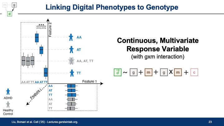 MarkGerstein's tweet image. Posting my talk tomorrow at the @BroadInstitute's @StanleyCenter lectures.gersteinlab.org/summary/Explor… Exploring Intermediate Endophenotypes connecting Genotype to Diseases (new slides from @JasonJLiu & some artwork from @Susannaliu99)