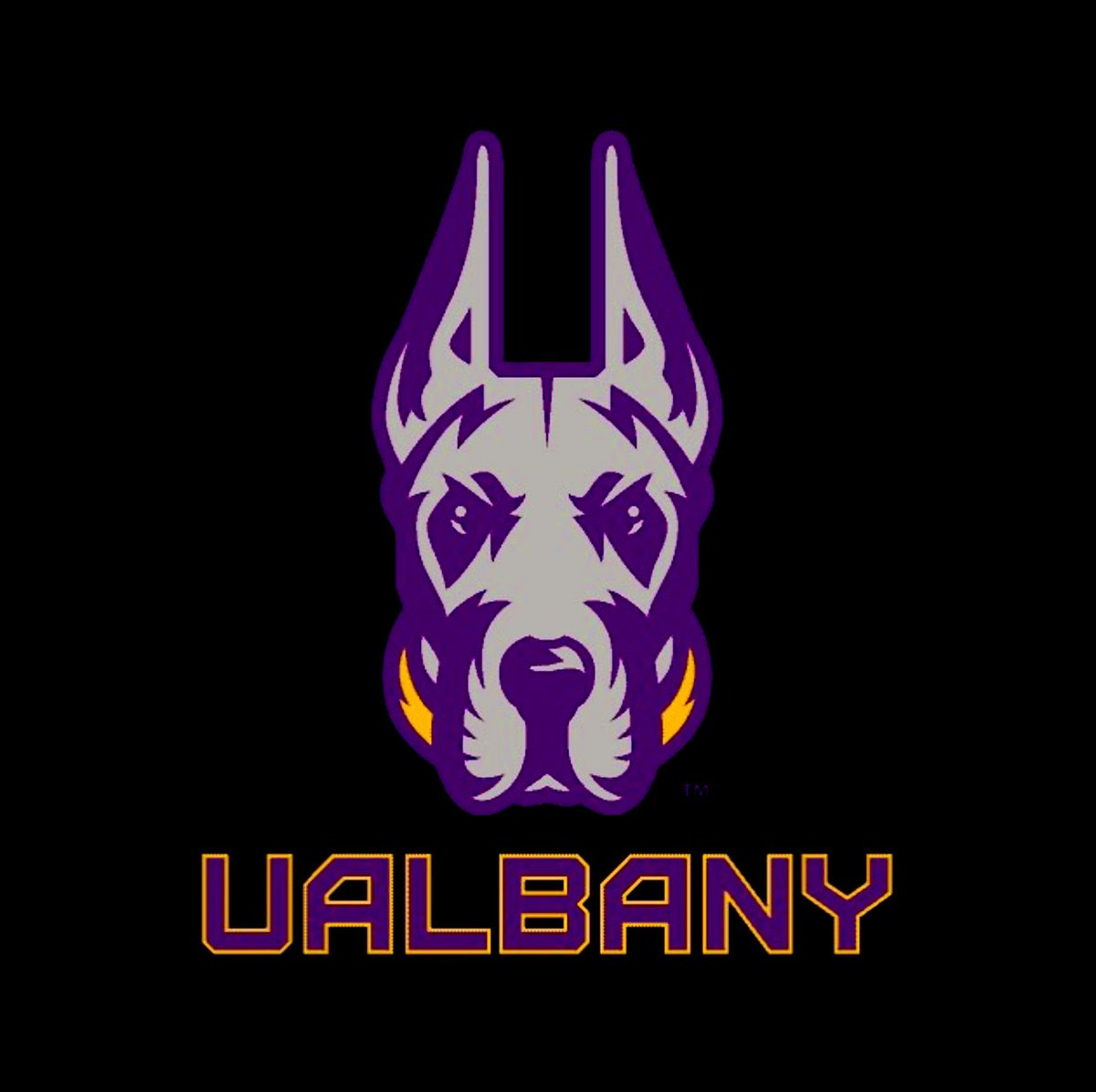 ian_jr99229's tweet image. Beyond blessed and extremely grateful to have EARNED a D1 Offer from the University at Albany!!