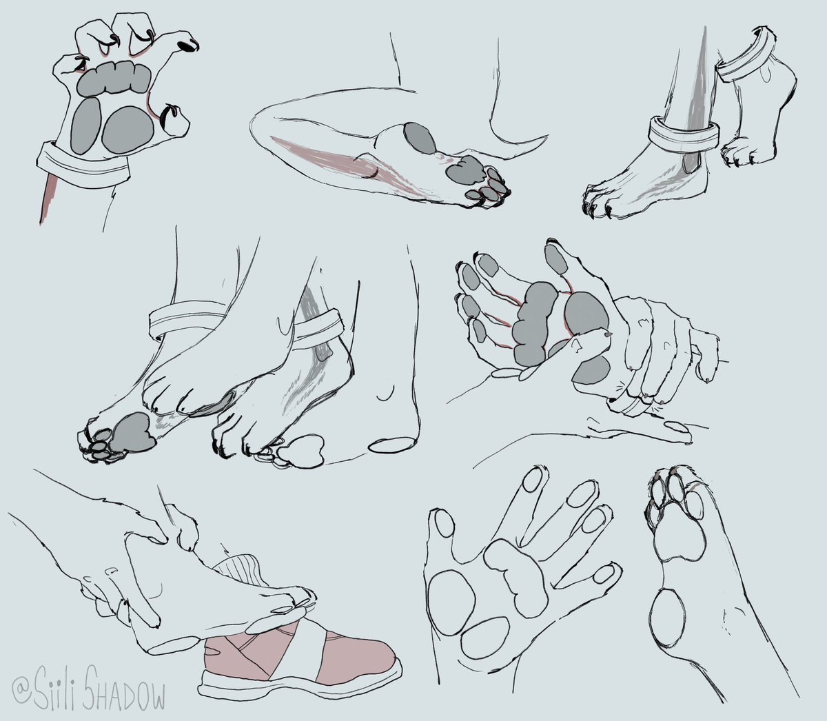alright here’s my take on the hogs’ paws 

#sonadow