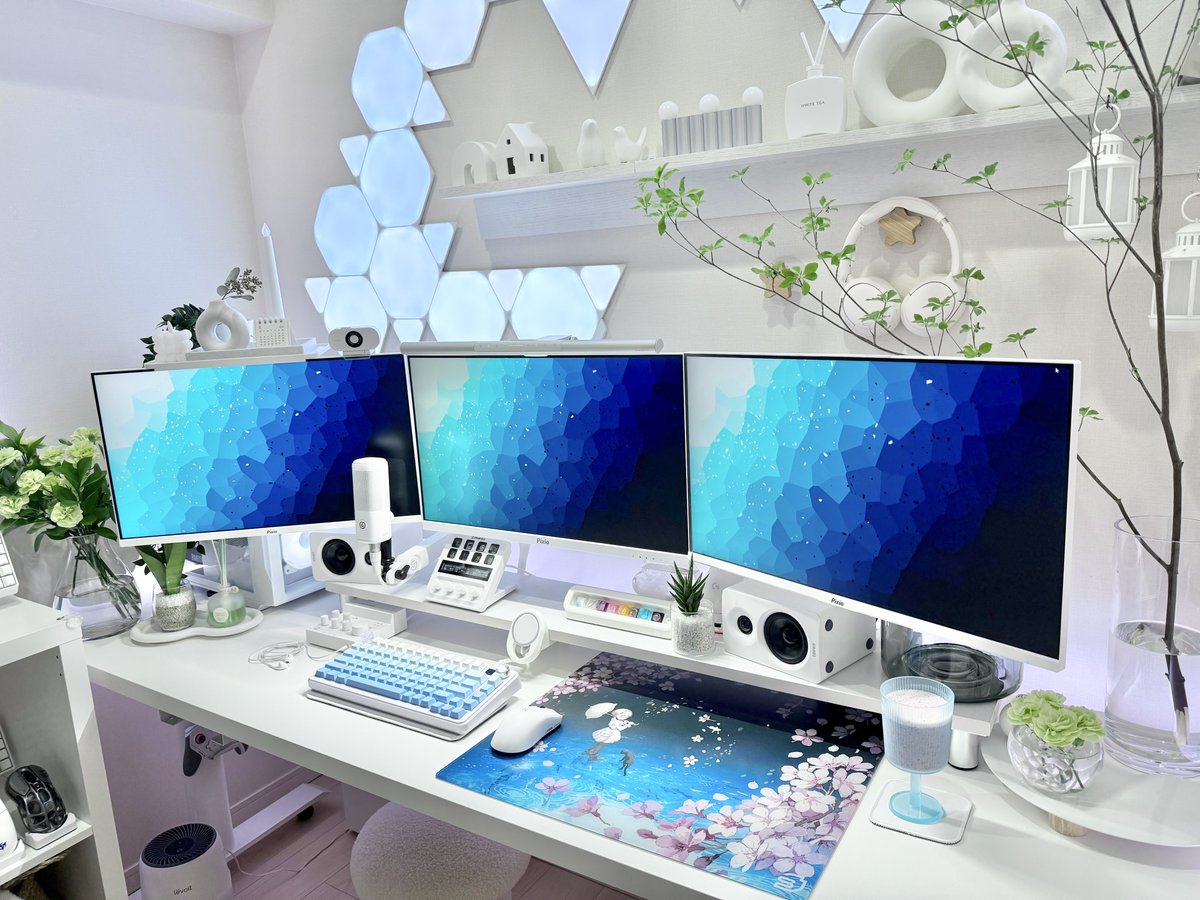 🩵×🌸×🌿

ガラスマウスパッド:STORIA🌸×🐈‍⬛

#desksetup