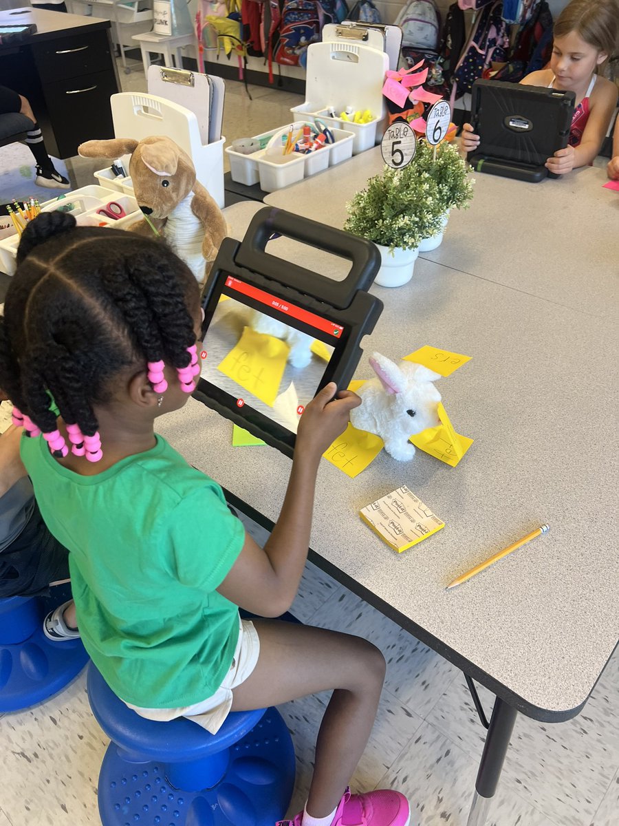 Ssis for stuffed animal. We labeled our stuffed animals and recorded a video on Seesaw #SCEsoars
