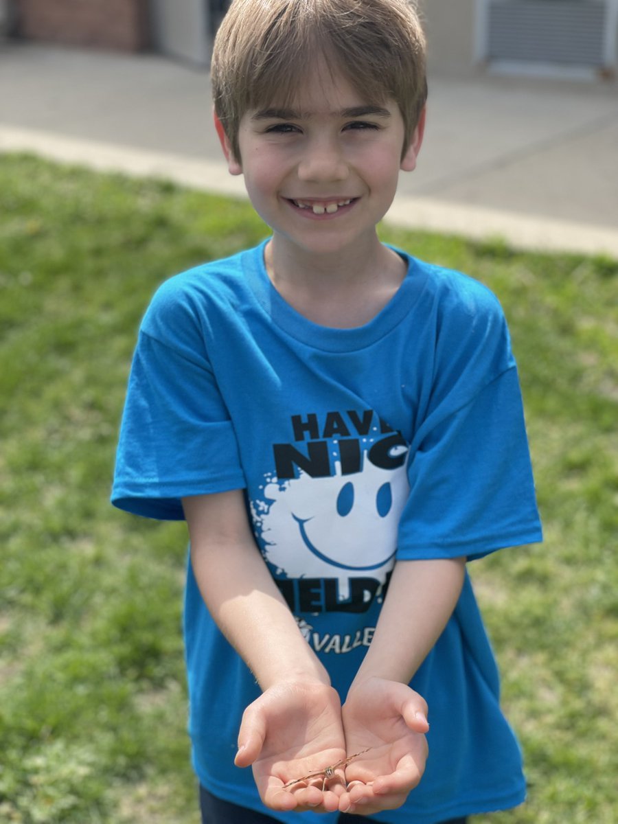 Andrea Marnell (@marnellandrea29) on Twitter photo Yesterday we let our butterflies go. It sure was fun watching them change from tiny caterpillars into beautiful butterflies. <a href="/VV_Voyagers/">VV Voyagers</a> #fabulousfirsties #butterflies Yesterday we let our butterflies go. It sure was fun watching them change from tiny caterpillars into beautiful butterflies. <a href="/VV_Voyagers/">VV Voyagers</a> #fabulousfirsties #butterflies