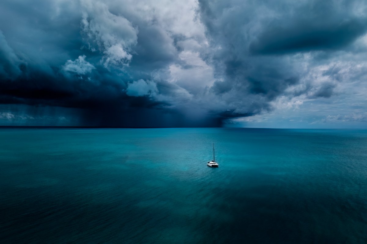 Intrepid tweet media