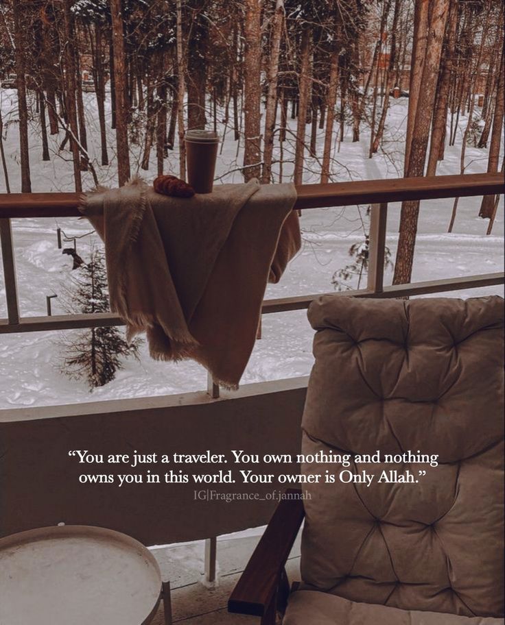 Syeda (@syeda_______) on Twitter photo 