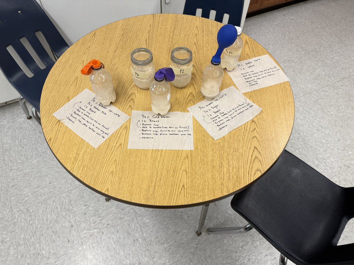 That’s yeast-tastic! We talked about the scientific process with constants (yeast), variables (water temp, salt, sugar) and observation (did it foam?) And then we created our p2 and p6 sourdough starters!! #OHSFACSBakeshop