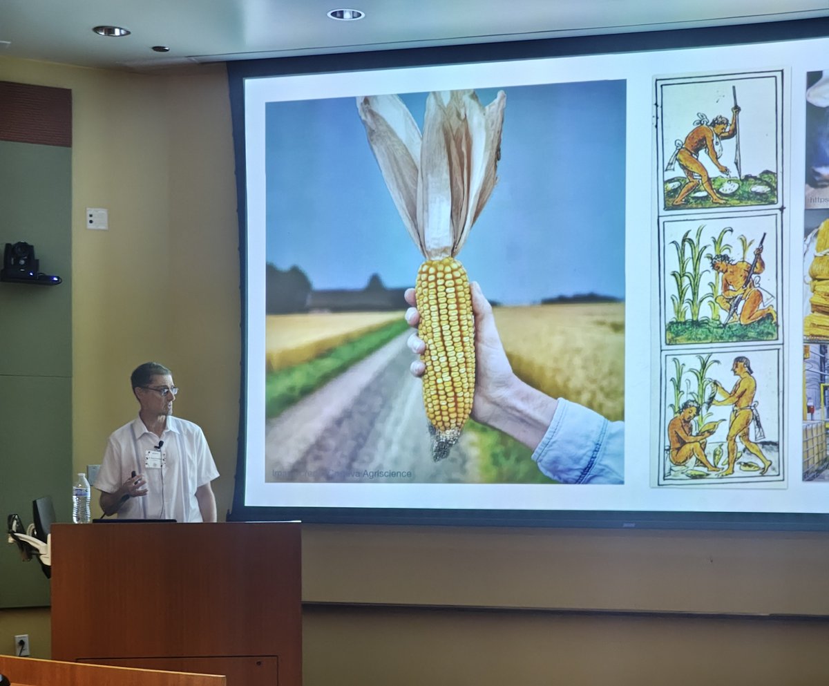 Sunil K. Kenchanmane Raju (@sunil_kumarkr) on Twitter photo 2025 Gomez-Pompa lecture by <a href="/jrossibarra/">Jeffrey Ross-Ibarra</a> talking about the human impact on the genetic diversity of 🌽
#StudentOrganized #CortevaSymposium <a href="/UCRCNAS/">UC Riverside CNAS</a> 2025 Gomez-Pompa lecture by <a href="/jrossibarra/">Jeffrey Ross-Ibarra</a> talking about the human impact on the genetic diversity of 🌽
#StudentOrganized #CortevaSymposium <a href="/UCRCNAS/">UC Riverside CNAS</a>