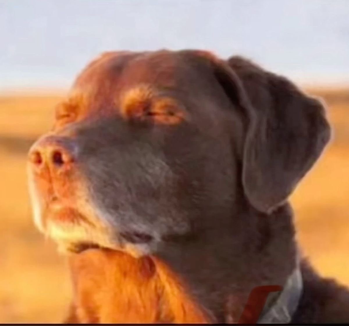 taylorcereja's tweet image. foi pra #mim