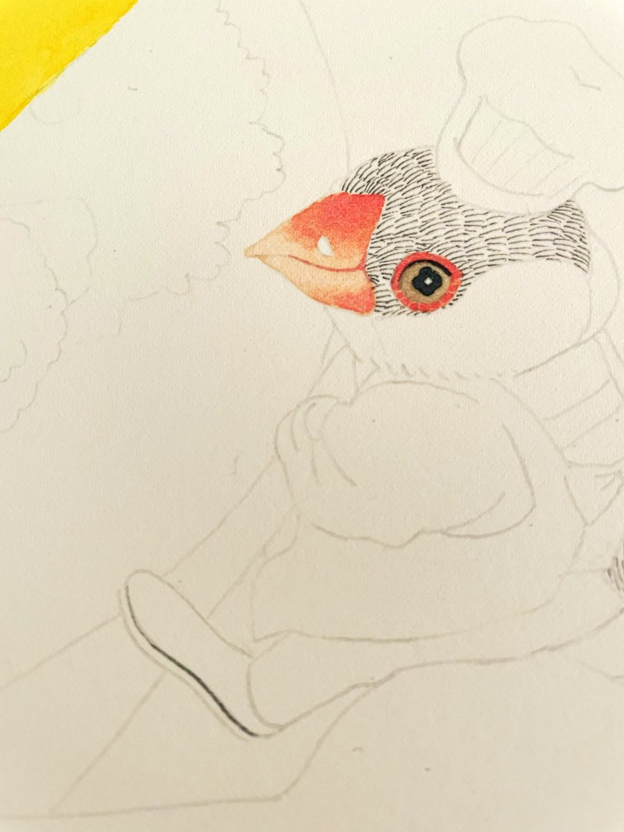 【しょん】ことりのお食事処 ことりのレストラン - Search / X