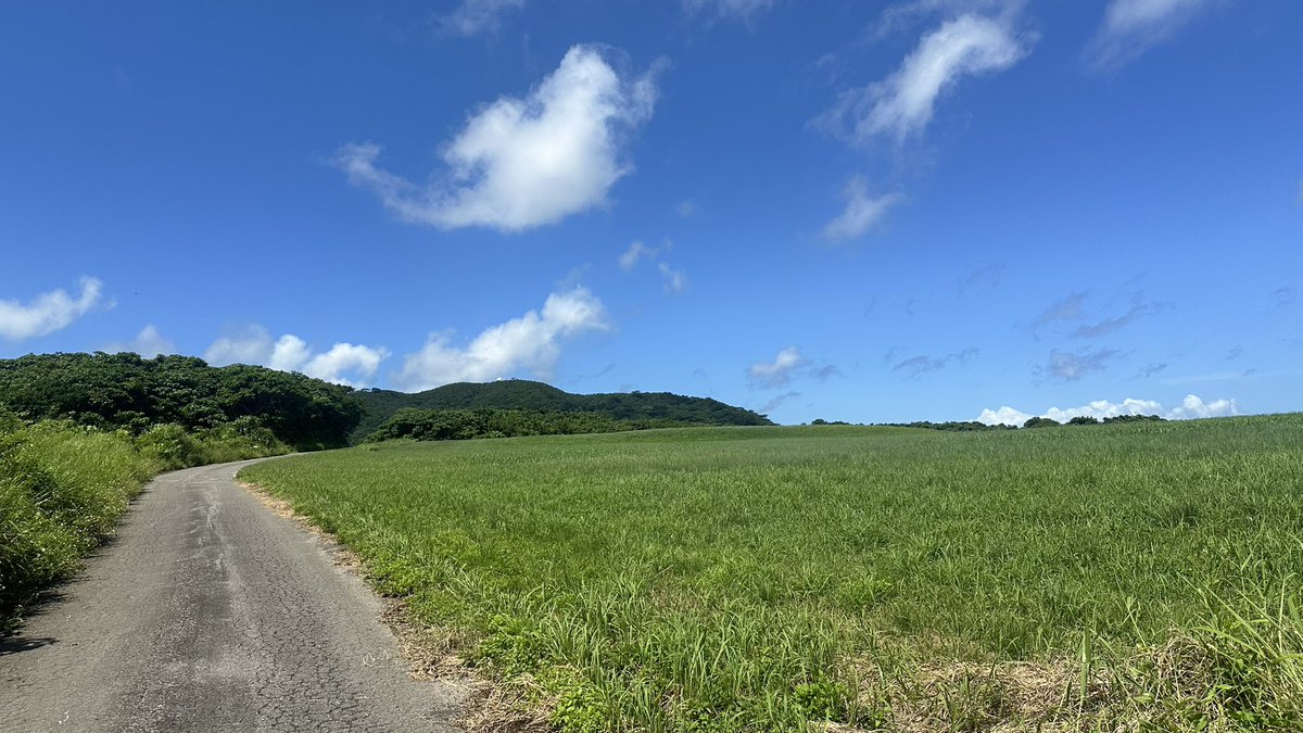 kanmuri_washi's tweet photo. こののどかな牧草地のあたりは10階建てのホテルが建つ予定です。
元々、県の補助金＝私たちの血税が投入されて開拓された農地。
畜産公社が管理していた土地で、民間払い下げの時公告にて「畜産業をやる方」と、明記してあったのですが。

まさか将来、農振除外•農地転用されるスキームが出来てしまうとは思ってなかったんでしょう…経産省がつくった地域未来投資促進法は非常に罪深いです。