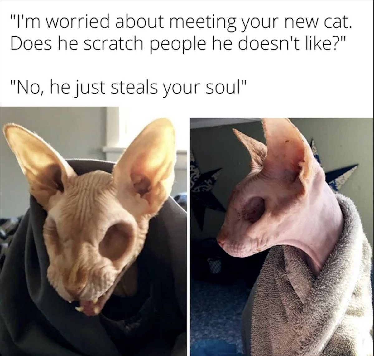 SpillTheMemes's tweet image. 😂