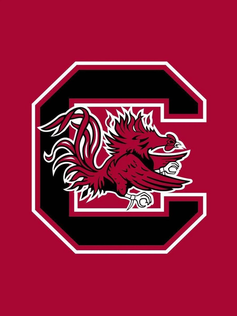 Xévien Brinson (@xe_2fye) on Twitter photo Blessed to have earned an offer from <a href="/GamecockFB/">Gamecock Football</a> <a href="/CoachSElliott/">Shawn Elliott USC</a> #gogamecocks #AGTG #provenemwrong Blessed to have earned an offer from <a href="/GamecockFB/">Gamecock Football</a> <a href="/CoachSElliott/">Shawn Elliott USC</a> #gogamecocks #AGTG #provenemwrong