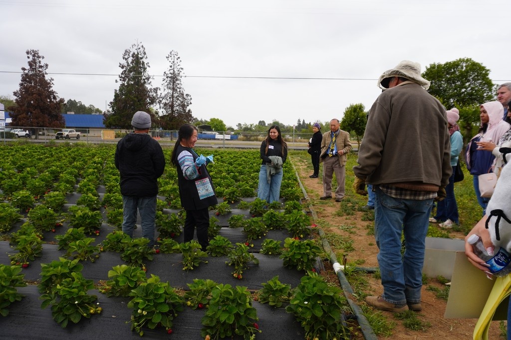 Strawberry Field Day 🍓 brought the Fresno community together to celebrate Aunty Der’s new farmstand &amp; learn how EQIP + SWEEP helped her build it.

Want to hear about more events like this? Visit caff.org/events.

#SmallFarms #EQIP #SWEEP #WomenInAg #FresnoFarms
