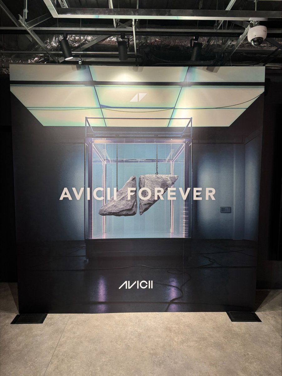 最終処分　avicii グッズまとめ売り 最終処分 avicii グッズまとめ売り - メルカリ