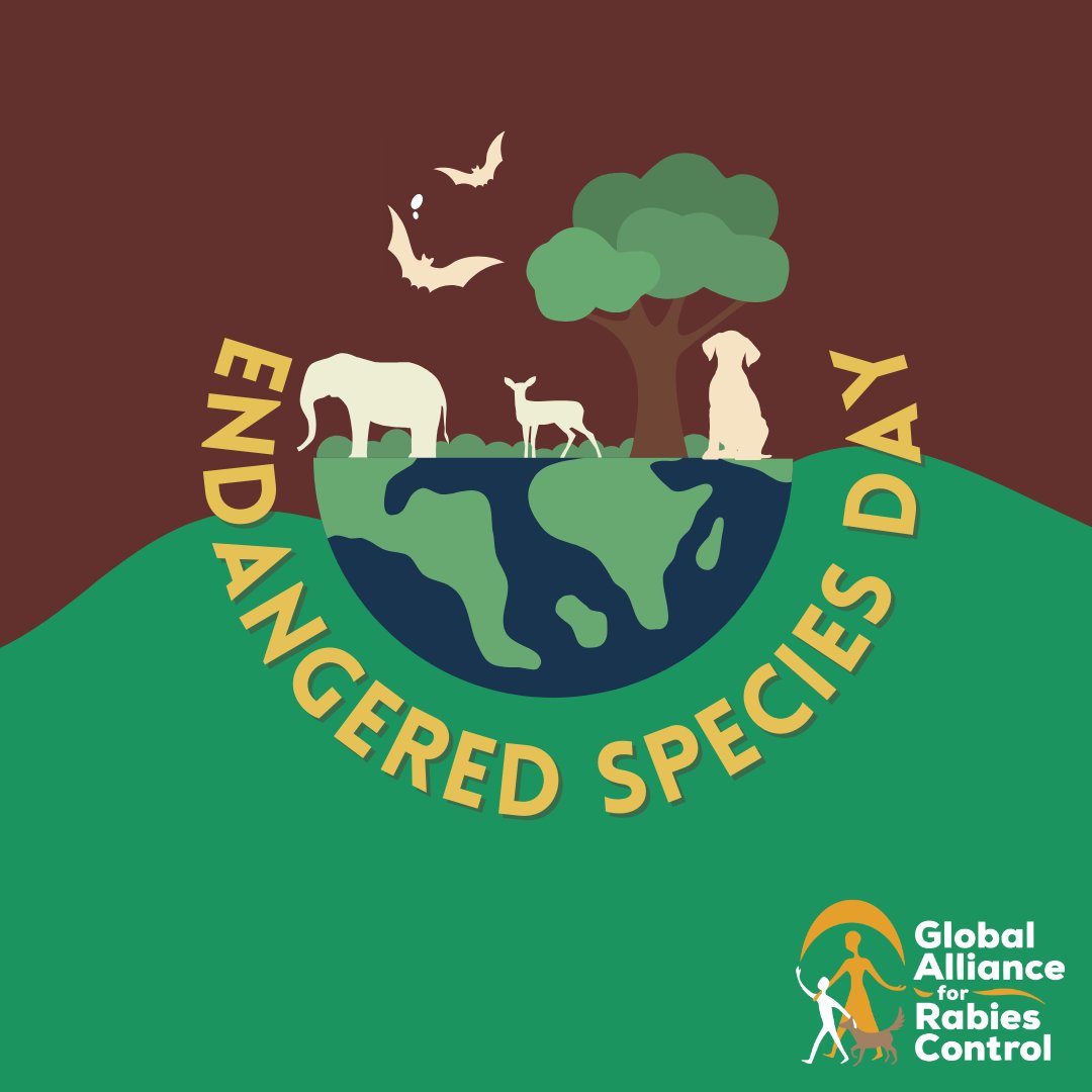 Even a single rabies outbreak can wipe out a significant portion of an endangered species group. Rabies elimination needs a global community! Join ours today -  hubs.ly/Q03kdc0P0

#rabies
#EndRabiesNow
#Education4Rabies
#OneHealth
#ZeroBy30
#CommunityOutreach