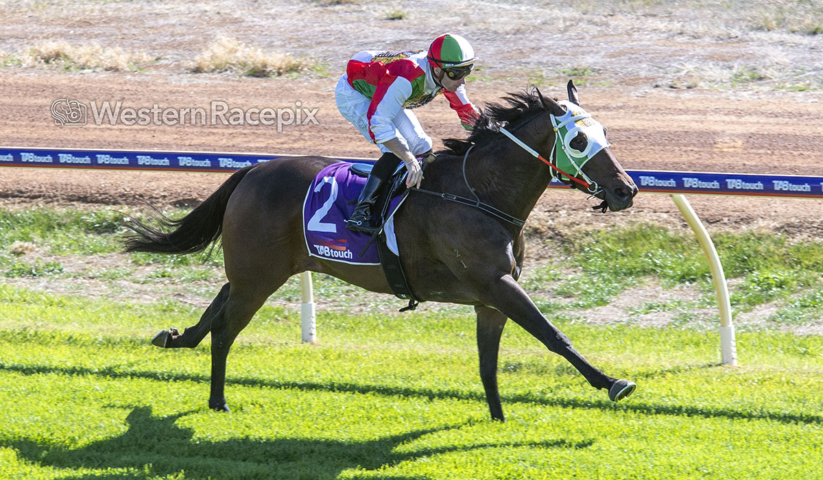 WesternRacepix's tweet image. FAVOURED SON - York Thurs 15th May
#WesternRacepix #YorkRaces

  More  📸 westernracepix.com