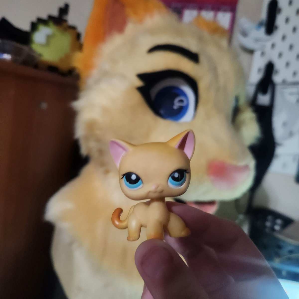 _Saberstudios_'s tweet image. Brooklyn hayes fursuit? More likely than you think