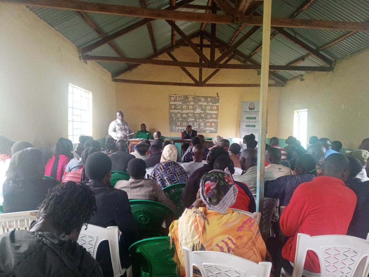 KephisKe's tweet image. The farmers were sensitized on how to identify licenced seed sellers, certified seed &amp;amp; how to confirm validity of certified seed by scratching the sticker label &amp;amp; sending the code to 1393

Mbegu si Mbegu Tu, Mbegu ni Certified!
#Wakulima
#Seedcertification
#KEPHIS 
#foodsecurity