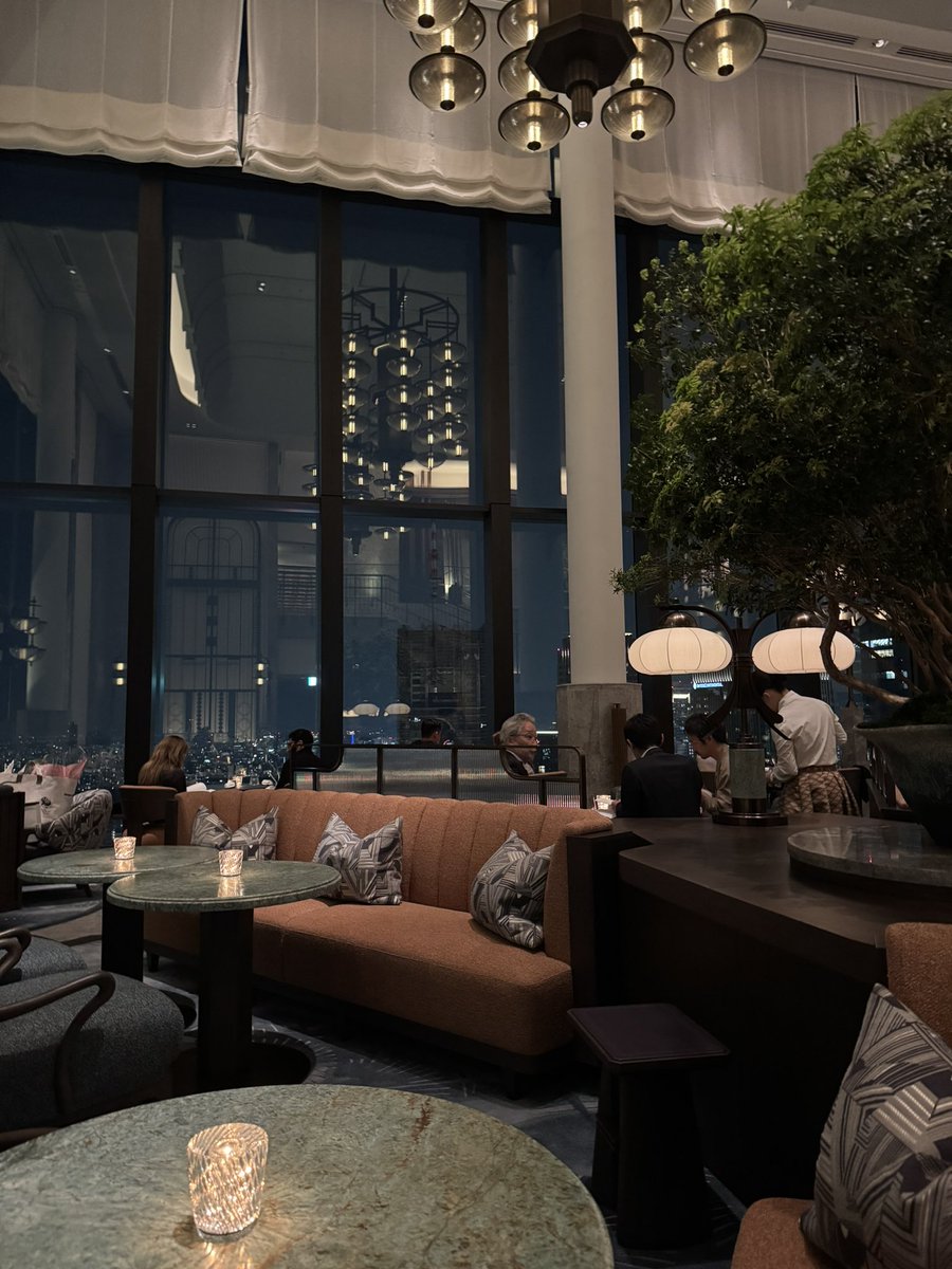 Jumper Ragdoll (@jumperragdoll) on Twitter photo 