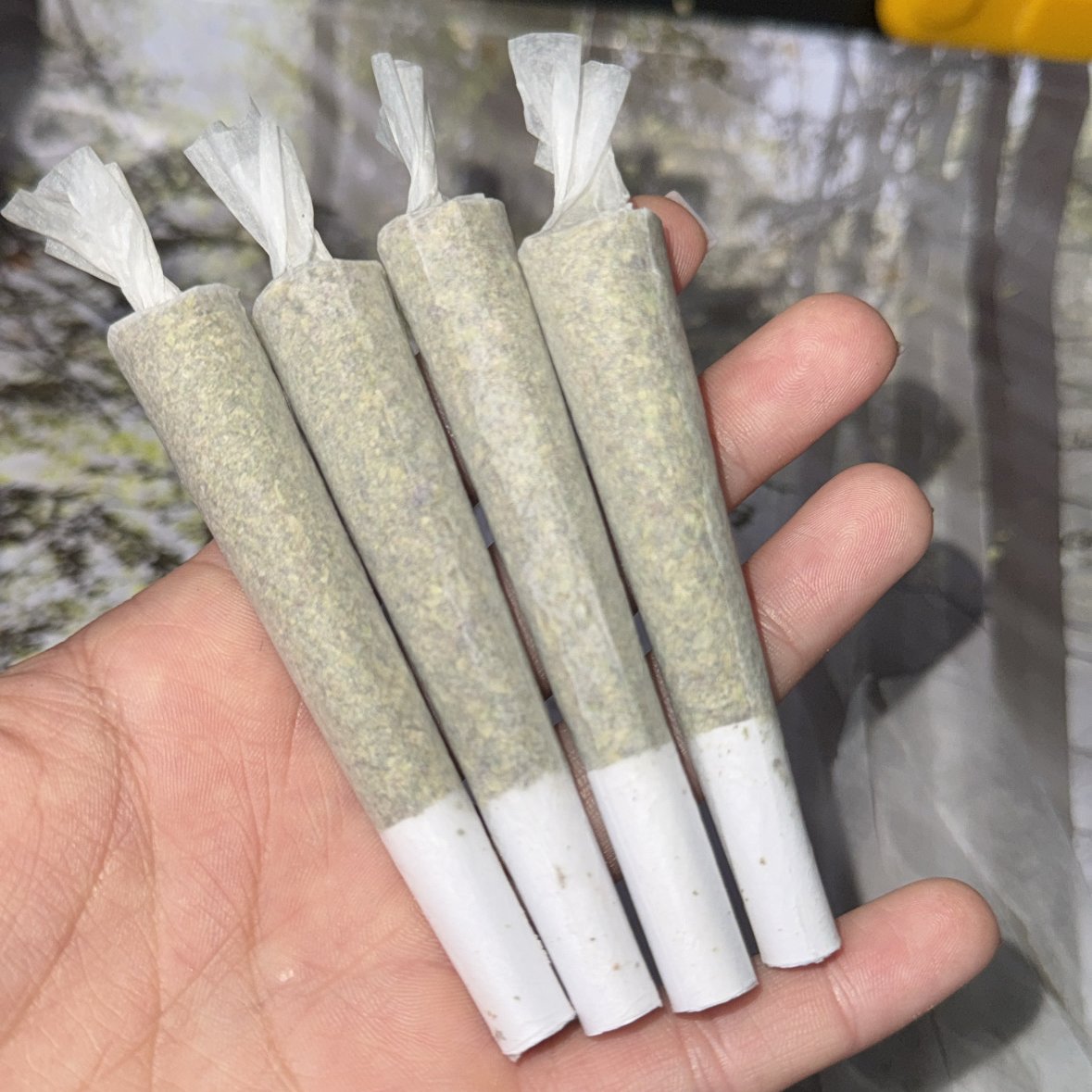 STONERS R US 🍃 tweet media