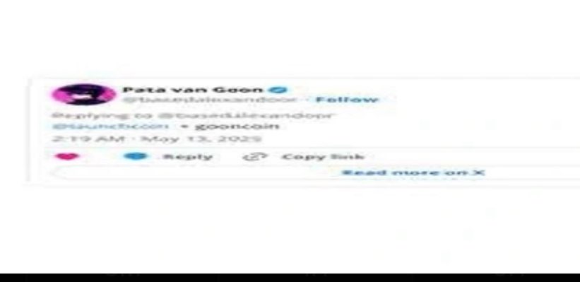 shizzle tweet media
