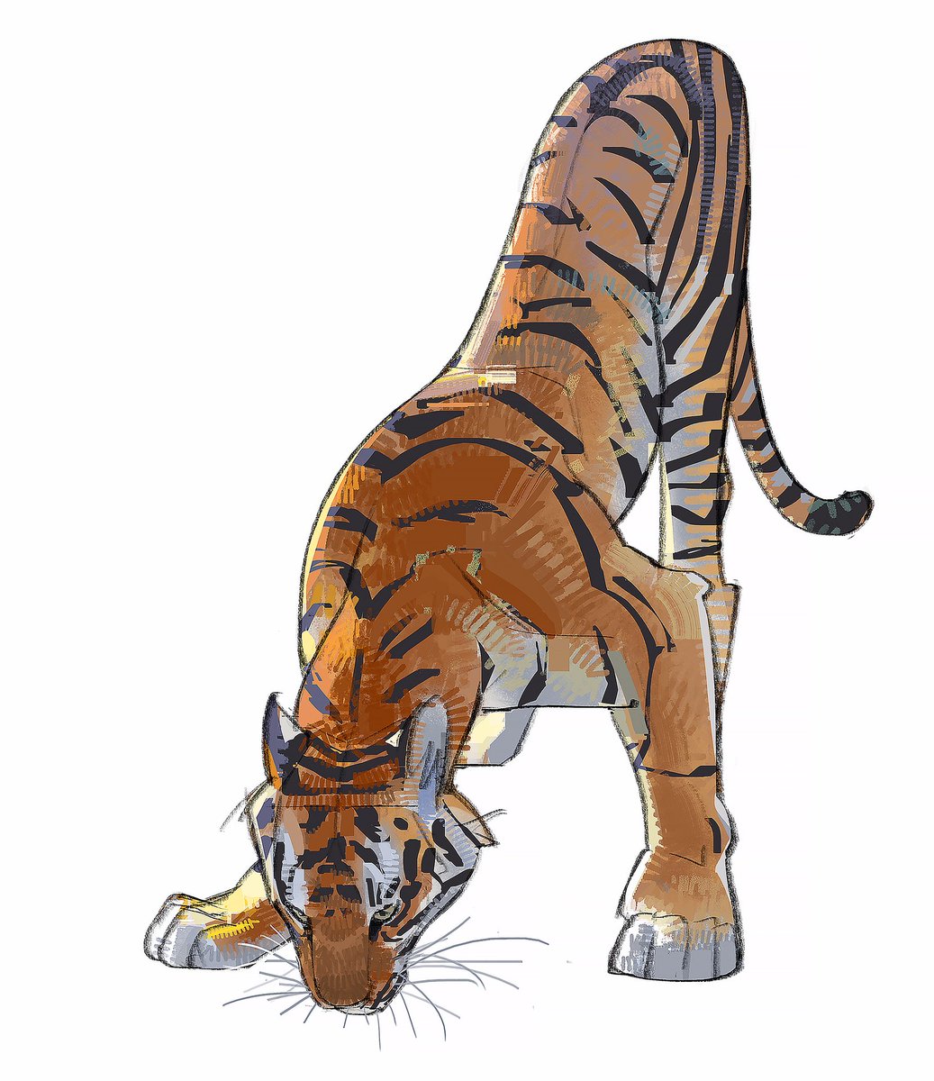 RamonN90 tweet media