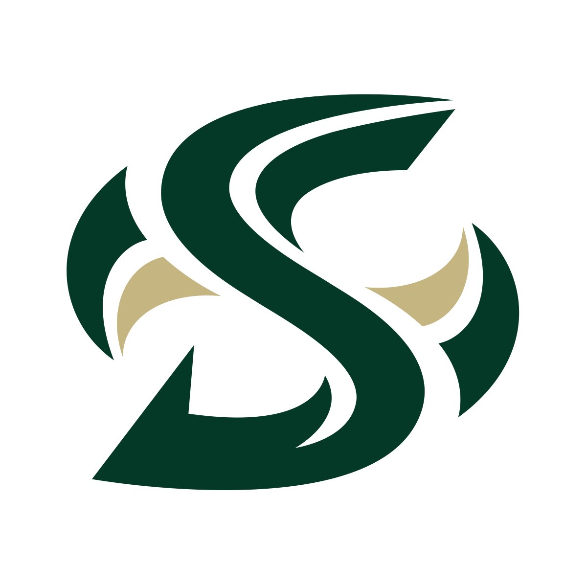 4⭐️Davin Davidson tweet media