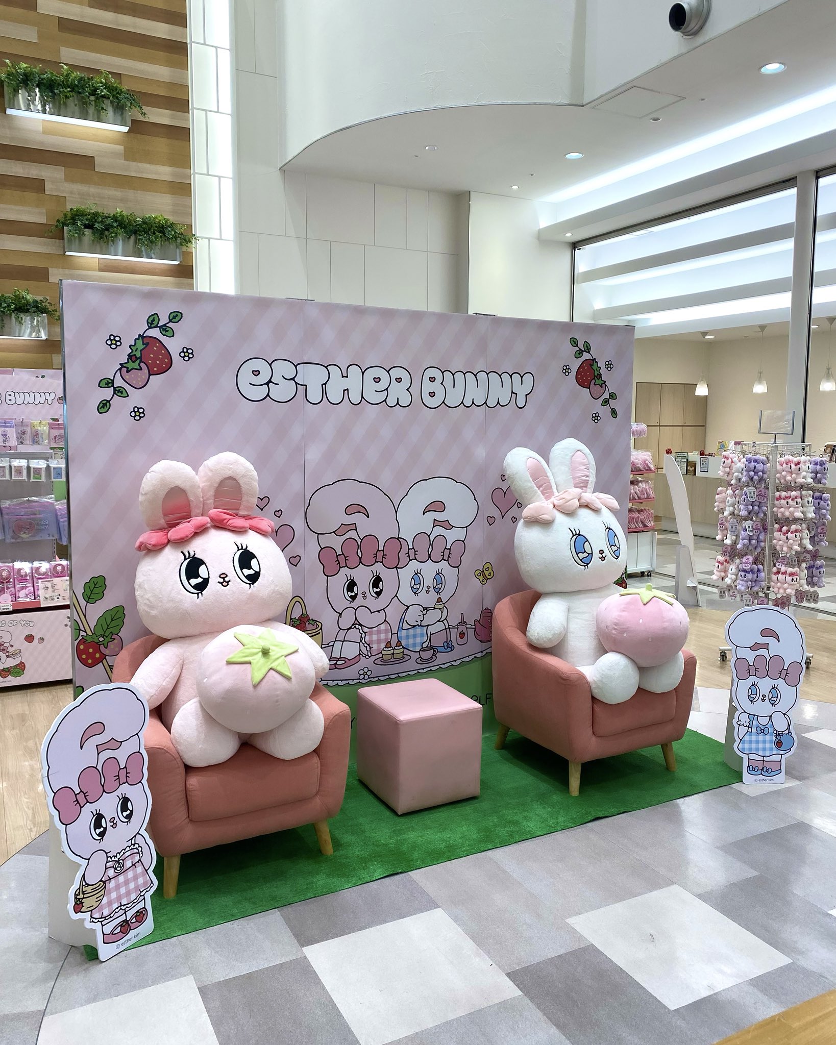 エスターバニー♡POP UP情報♡ (@Estherbunnyjp) / X