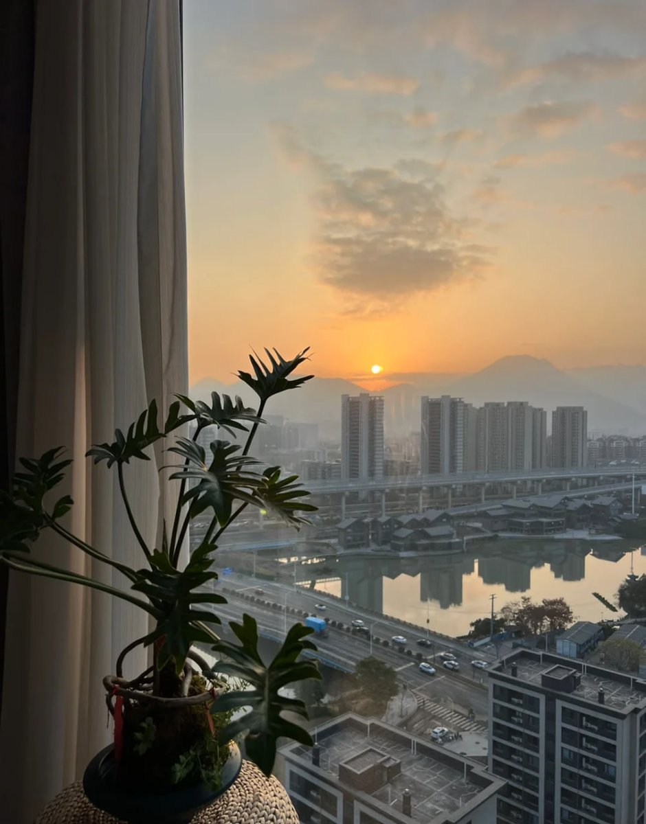 日の出の美しい景色に浸り、心が開放されます！🌞🌸