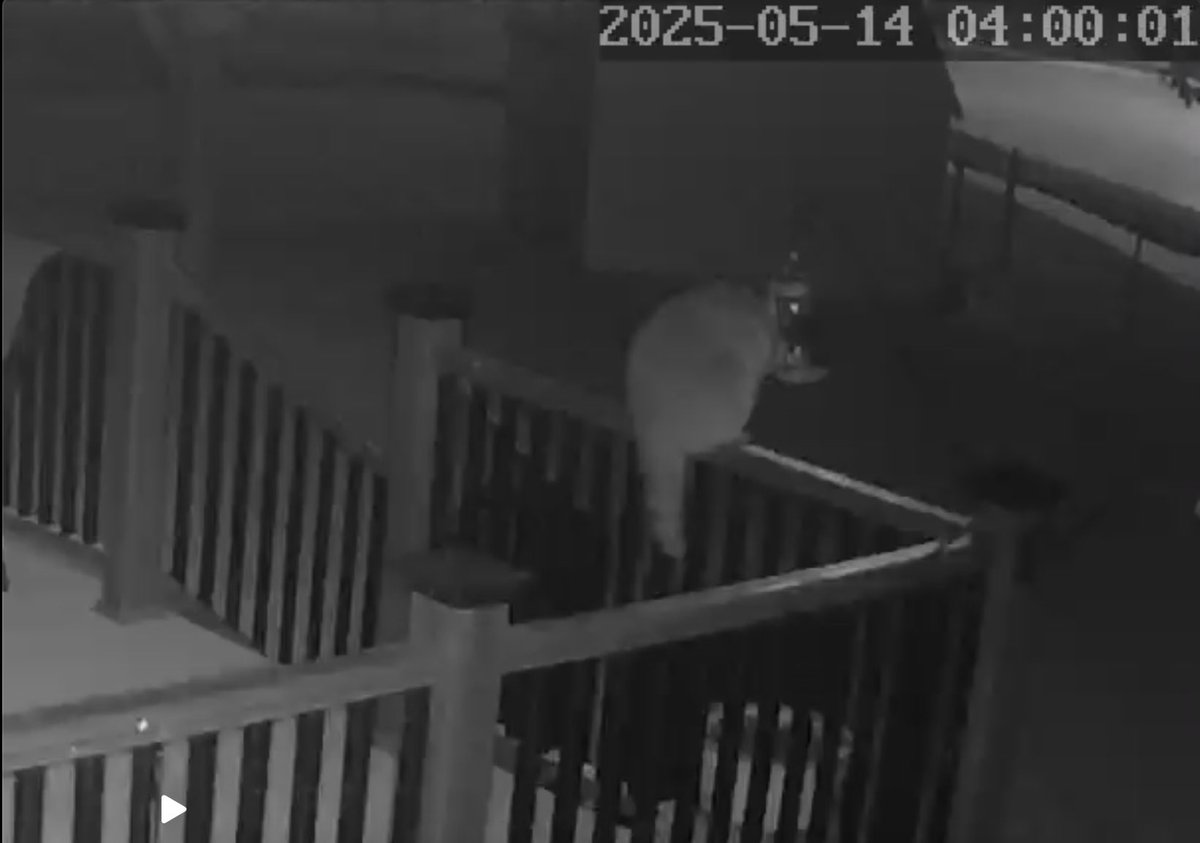 LouannRiker's tweet photo. @Oilfield_Rando If your woman is lucky she will get one of these on her hummingbird feeder. Darn raccoons! https://t.co/QdsvlSVuR3