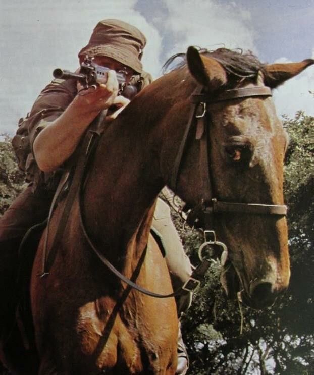 Testosterone Aesthetics (@maxyourtest) on Twitter photo 