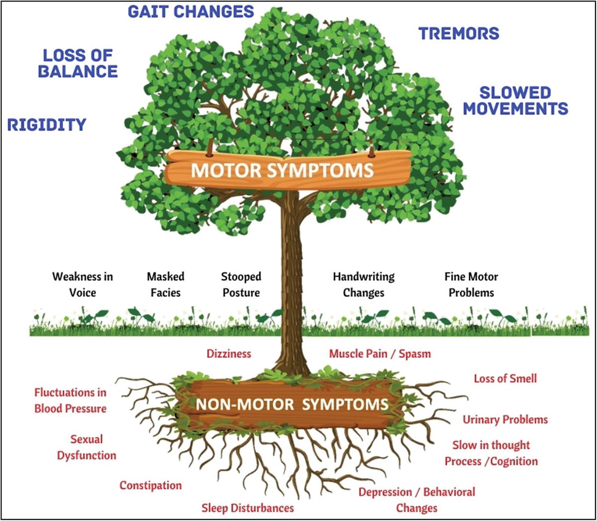 Prashanth L Kukkle (@prashanthlk) on Twitter photo Icebergs melt, trees grow! 💧➡️🌳 Rethinking #ParkinsonsDisease: a tiny seed wired by #genes & #environment sprouts deep roots of non-motor secrets, then breaks ground with tremors & stiffness. Time to let our PD analogy bloom!🌸
journals.lww.com/aomd/fulltext/…
<a href="/mdsieditor/">Movement Disorders India</a>
<a href="/movedisorder/">MDS</a> Icebergs melt, trees grow! 💧➡️🌳 Rethinking #ParkinsonsDisease: a tiny seed wired by #genes & #environment sprouts deep roots of non-motor secrets, then breaks ground with tremors & stiffness. Time to let our PD analogy bloom!🌸
journals.lww.com/aomd/fulltext/…
<a href="/mdsieditor/">Movement Disorders India</a>
<a href="/movedisorder/">MDS</a>