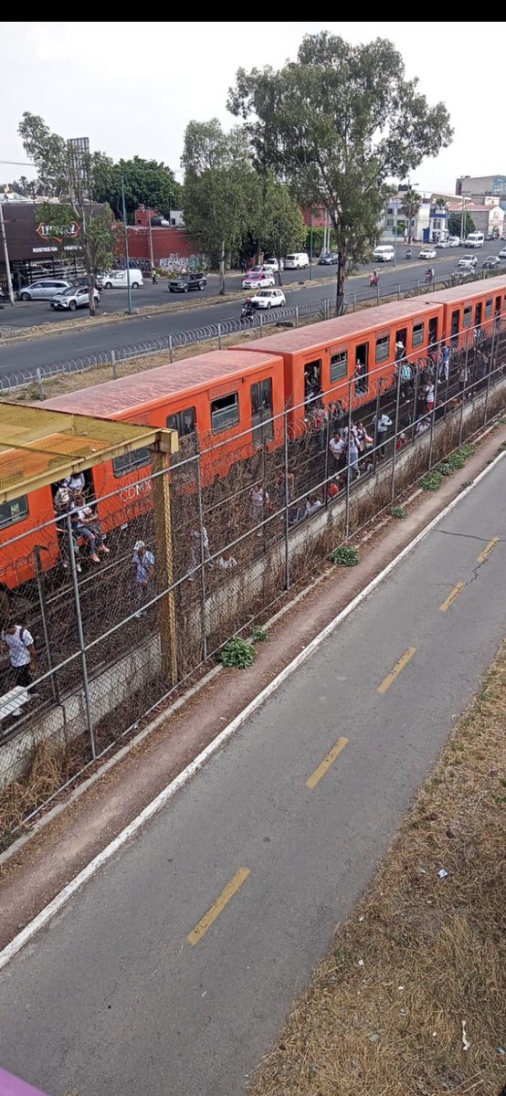 AXZO03's tweet photo. Imagen que representa el conformismo del mexicano…

Sigan votando por servicios de tercer y cuarta … https://t.co/S03xkNkS1e