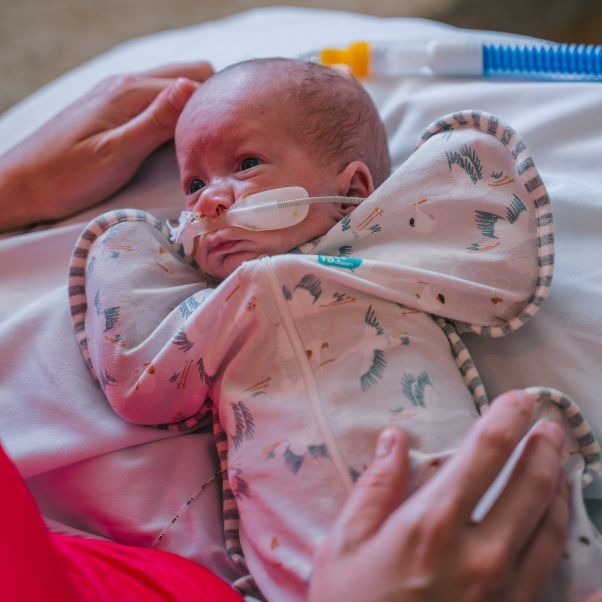 Join the Gold Coast Hospital Foundation today for Giving Day and donate to those in critical need, like little Harland. Read about Harland’s story here 👉 bit.ly/3FbqwnE. Make a meaningful difference and donate now: gcdonate.org.au.