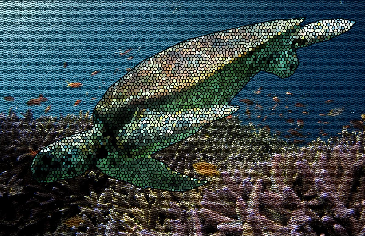 Turtlehelm_'s tweet image. 