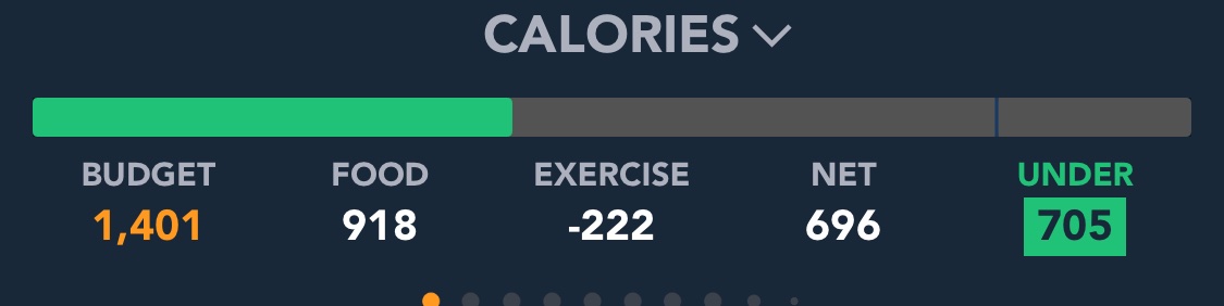 n0var0's tweet image. an actual good day yay !! i’ve been eating less recently but it hasn’t been to the degree that i used to if that makes any sense
so yippe for a good day