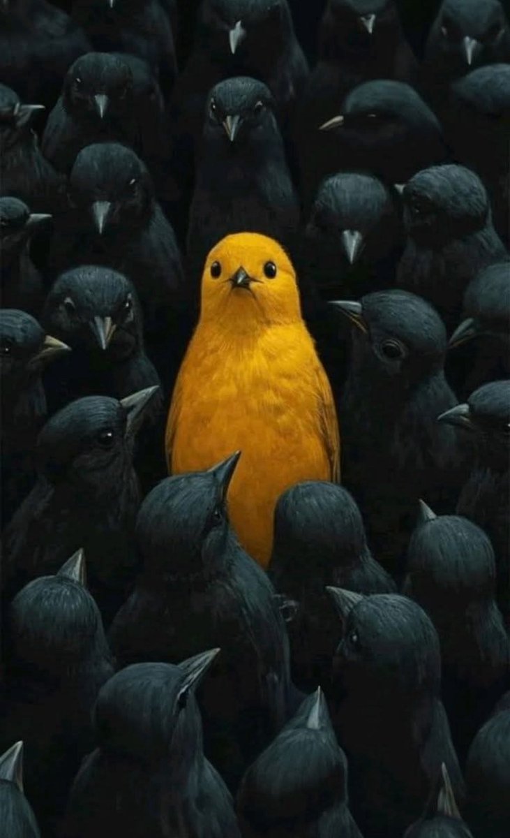 YOUNGUNZ99's tweet image. #individualized